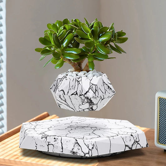Levitating Bonsai Pot - Floating Magnetic Plant Holder